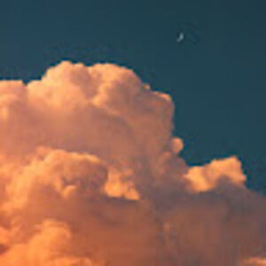 Meet your Posher, Mattalyn